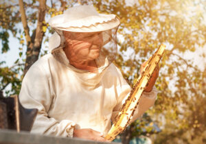 Buy through Dr. Ellen Heinitz for your natural healthcare needs and peace of mind.