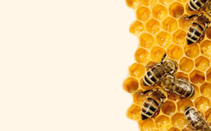 Buy through Dr. Ellen Heinitz for your natural healthcare needs and peace of mind.