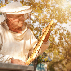 Buy through Dr. Ellen Heinitz for your natural healthcare needs and peace of mind.