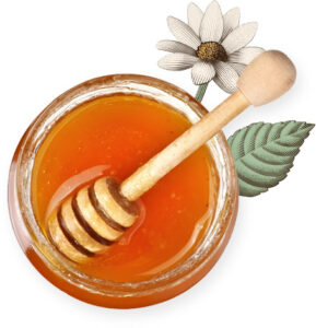 Buy through Dr. Ellen Heinitz for your natural healthcare needs and peace of mind.