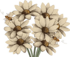 Buy through Dr. Ellen Heinitz for your natural healthcare needs and peace of mind.