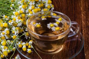 Dr. Ellen Heinitz is your family's naturopath. She will help you navigate your healthcare journey with confidence and peace.