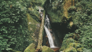 Dr. Ellen Heinitz is a naturopathic doctor for the whole family. Functional medicine combines modern healthcare with natural solutions. Accepting new patients in Hillsboro and Grants Pass, OR.