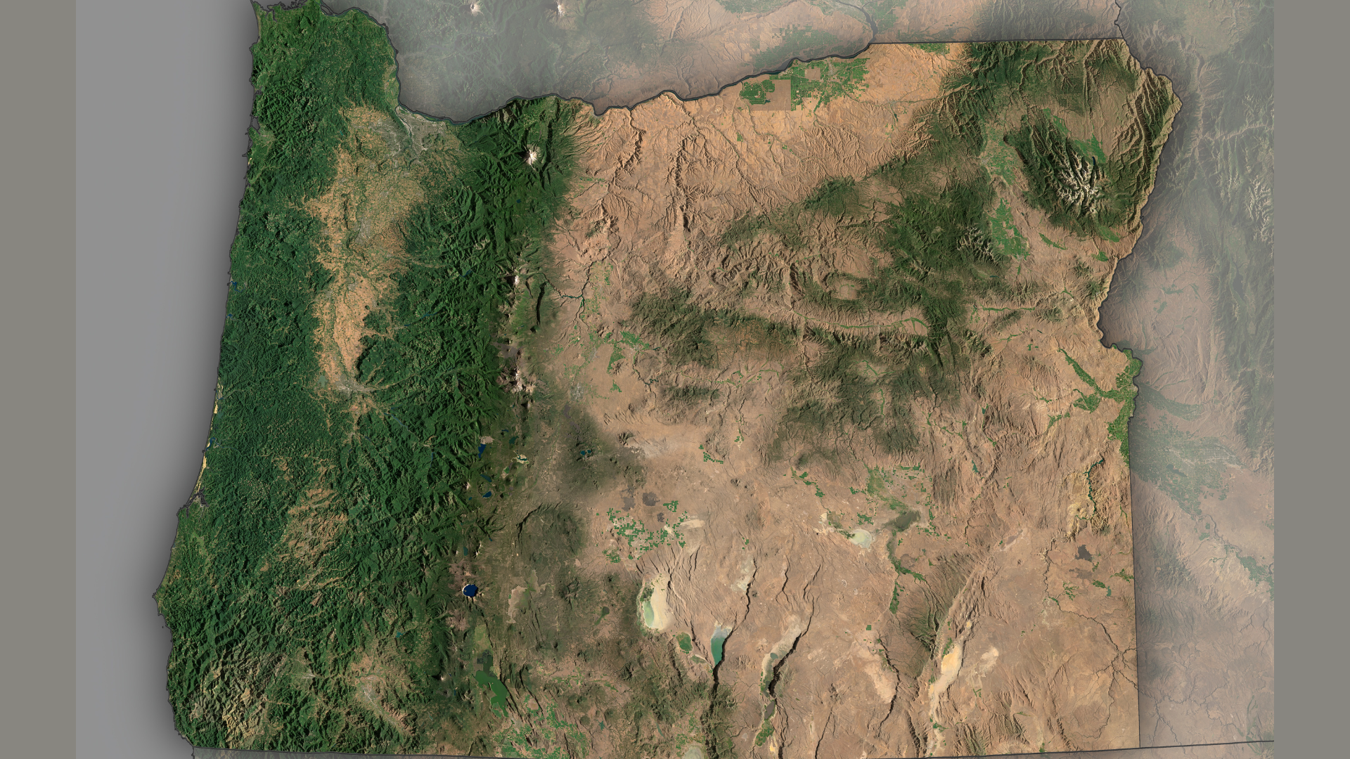 2 Man reading an open Bible at a table