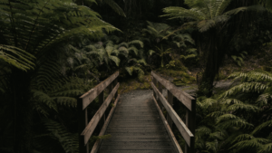 Dr. Ellen Heinitz is an integrative naturopathic doctor accepting new patients. Let her help you grow in your healthcare.