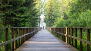 Dr. Ellen Heinitz is a naturopathic doctor for the whole family. Functional medicine combines modern healthcare with natural solutions.