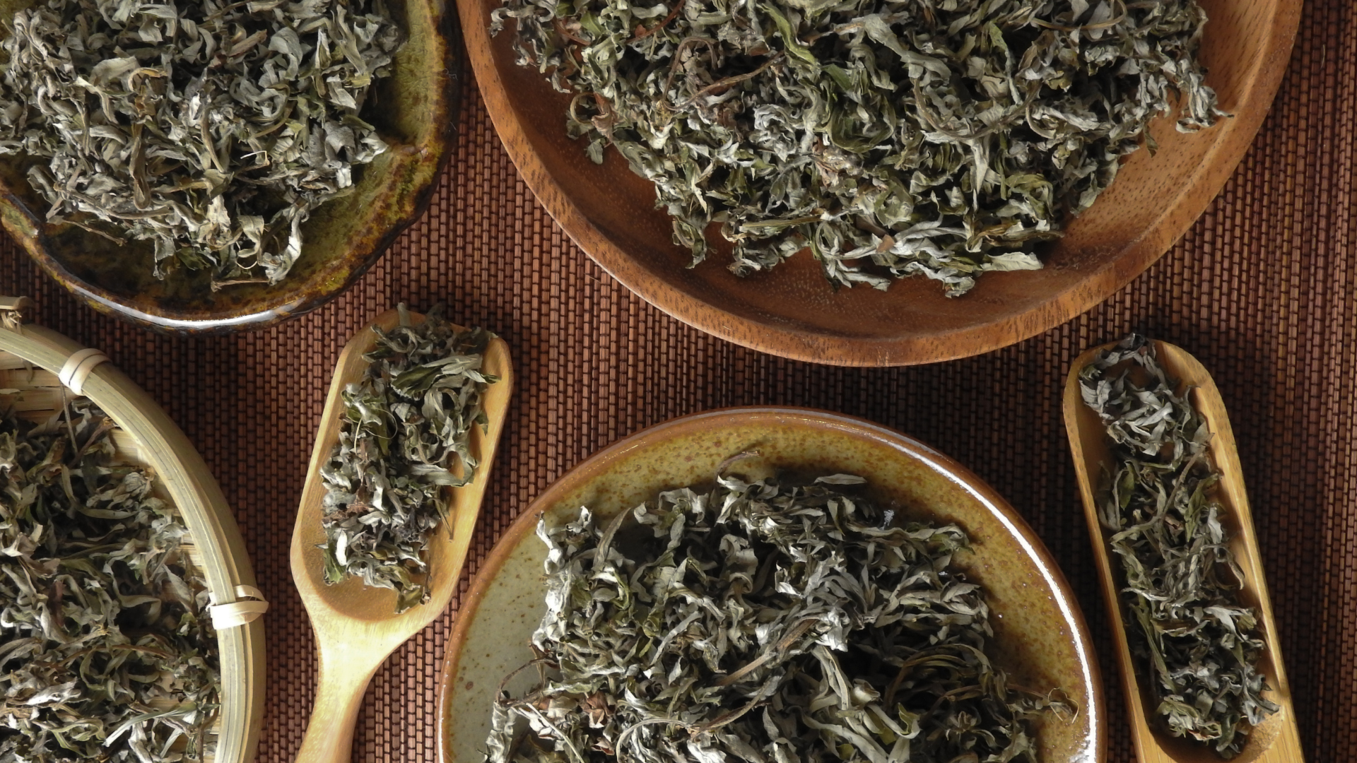 8 Man reading an open Bible at a table