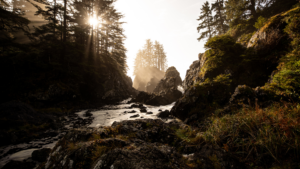 Dr. Ellen Heinitz is a naturopathic doctor for the whole family. Functional medicine combines modern healthcare with natural solutions. Accepting new patients in Hillsboro and Grants Pass, OR.