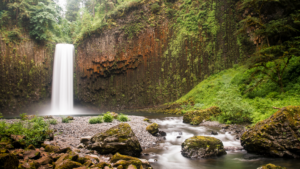 Dr. Ellen Heinitz is a naturopathic doctor for the whole family. Functional medicine combines modern healthcare with natural solutions. Accepting new patients in Hillsboro and Grants Pass, OR.
