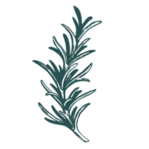 Book a naturopath appointment today with Dr. Ellen Heinitz