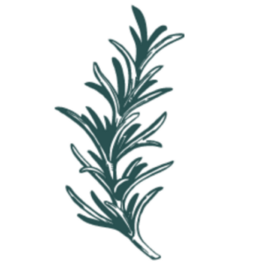 Book a naturopath appointment today with Dr. Ellen Heinitz