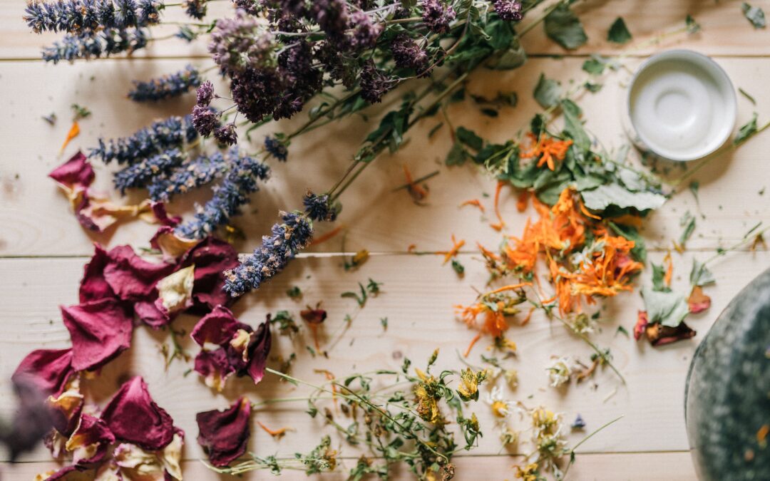 What Is Naturopathic Medicine? A Root-Cause Approach to Health